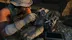 اکانت قانونی Tom Clancy's Ghost Recon Breakpoint برای PS5 و PS4
